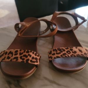 Torrid Leopard Print Sandals